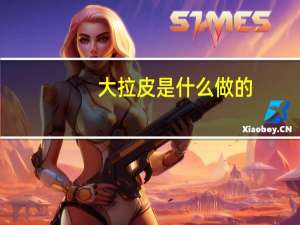 大拉皮是什么做的（拉皮车是什么意思）