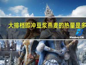 大排档 即冲豆浆燕麦的热量是多少