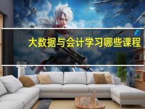 大数据与会计学习哪些课程