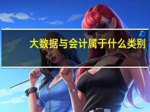 大数据与会计属于什么类别