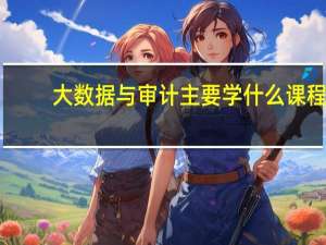 大数据与审计主要学什么课程