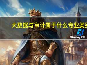 大数据与审计属于什么专业类别