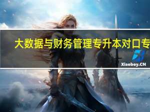 大数据与财务管理专升本对口专业