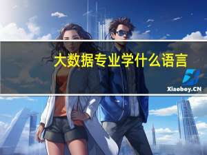 大数据专业学什么语言