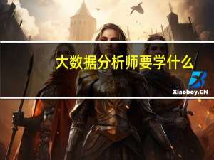 大数据分析师要学什么
