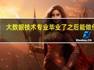 大数据技术专业毕业了之后能做什么