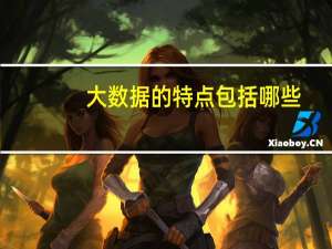 大数据的特点包括哪些