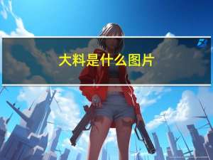 大料是什么图片（大料是什么调料）