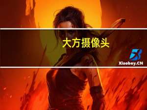 大方摄像头