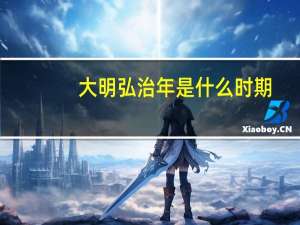 大明弘治年是什么时期（大明——弘治帝后简介）