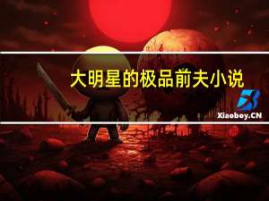 大明星的极品前夫小说（大明星的极品前夫）
