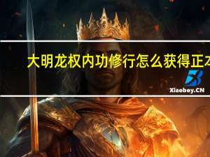 大明龙权 内功修行怎么获得正本