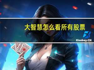大智慧怎么看所有股票