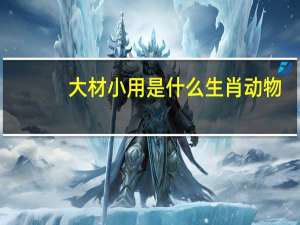 大材小用是什么生肖动物