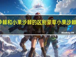 大果沙棘和小果沙棘的区别 蒙草小果沙棘原浆价格表