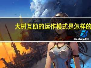 大树互助的运作模式是怎样的