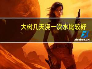 大树几天浇一次水比较好