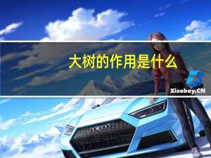 大树的作用是什么