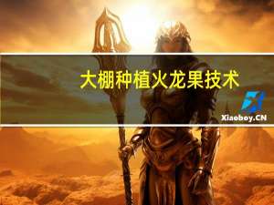 大棚种植火龙果技术