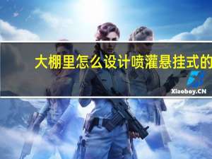 大棚里怎么设计喷灌 悬挂式的
