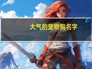 大气的宠物狗名字