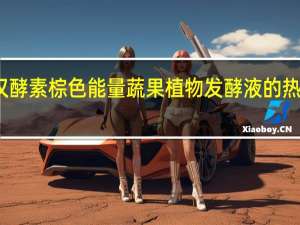 大汉酵素 棕色能量蔬果植物发酵液的热量是多少
