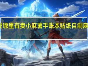 大润发哪里有卖小麻薯手账本贴纸 自制麻薯贴纸大全