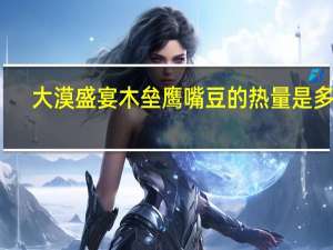 大漠盛宴 木垒鹰嘴豆的热量是多少