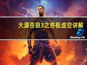 大漠苍狼3之终极虚空讲解（大漠苍狼3之终极虚空）