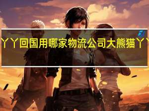 大熊猫丫丫回国用哪家物流公司 大熊猫丫丫回国时间线