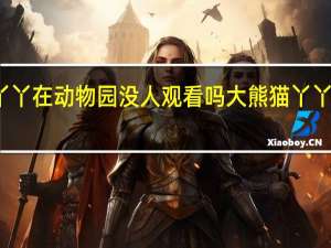 大熊猫丫丫在动物园没人观看吗 大熊猫丫丫在哪个动物园