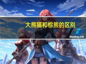 大熊猫和棕熊的区别