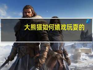 大熊猫如何嬉戏玩耍的