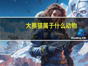 大熊猫属于什么动物