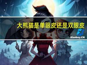 大熊猫是单眼皮还是双眼皮？ 到底什么情况呢