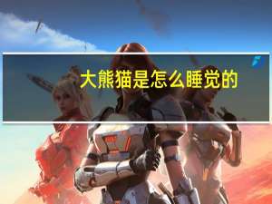 大熊猫是怎么睡觉的