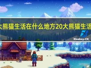 大熊猫生活在什么地方 大熊猫生活在哪里