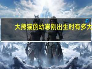 大熊猫的幼崽刚出生时有多大