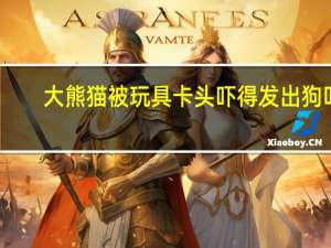 大熊猫被玩具卡头 吓得发出狗叫：在奶妈帮助下成功逃了出来