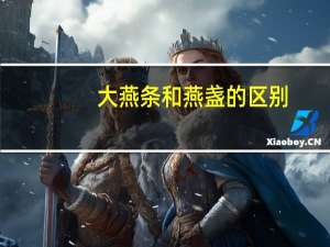 大燕条和燕盏的区别