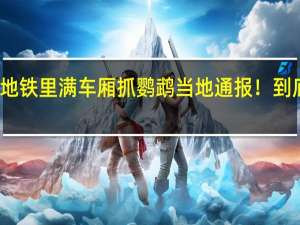 大爷在地铁里满车厢抓鹦鹉当地通报！ 到底什么情况呢