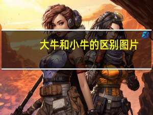 大牛和小牛的区别图片（大牛和小牛的区别）