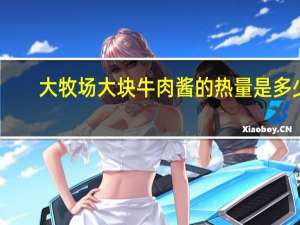 大牧场 大块牛肉酱的热量是多少