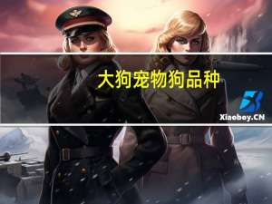 大狗宠物狗品种