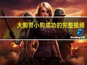 大狗带小狗成功的完整视频