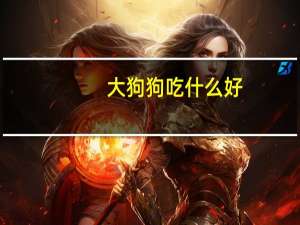 大狗狗吃什么好