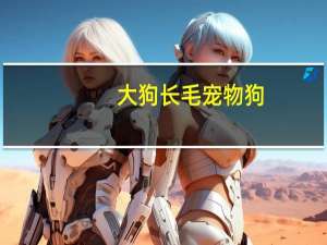 大狗长毛宠物狗