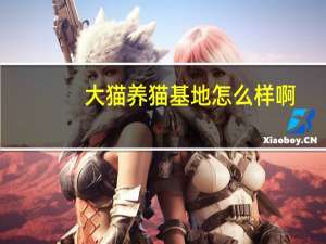 大猫养猫基地怎么样啊