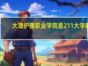 大理护理职业学院是211大学吗