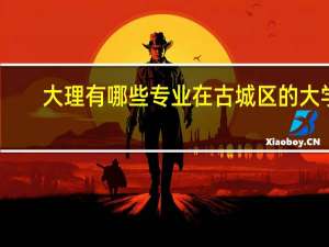 大理有哪些专业在古城区的大学